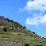 Apartment Le Rempart Guebwiller
