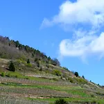 Le Rempart Guebwiller